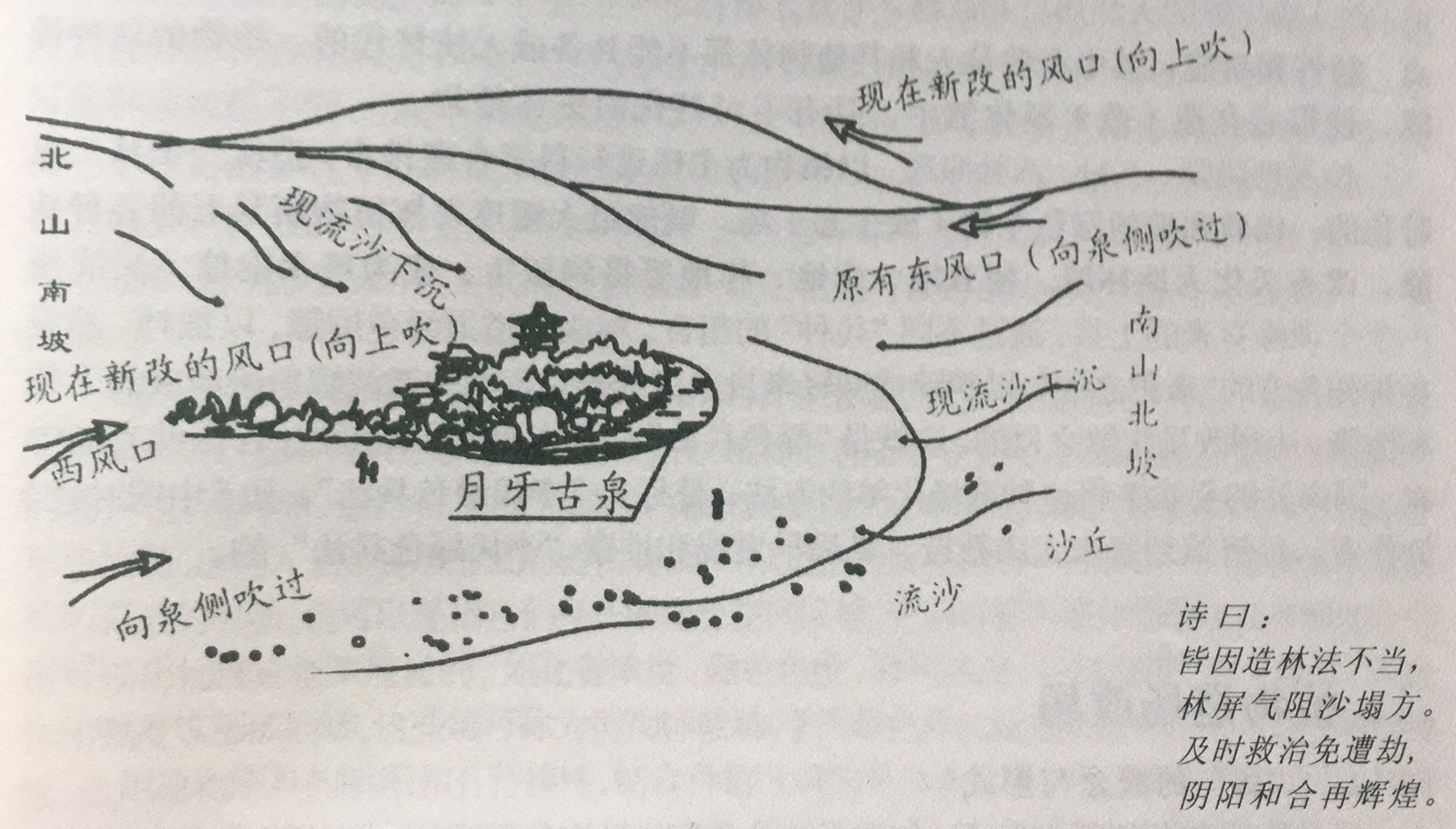 什么是第四节植物的八卦空间定位？(一)_光明网