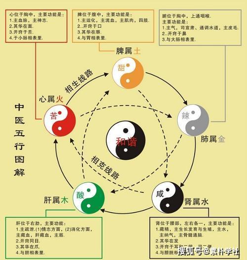 探寻中国文化的奥秘：阴阳五行八卦、干支、二十四节气的异同