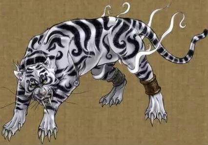 风水堂:白虎白虎代表什么白虎?
