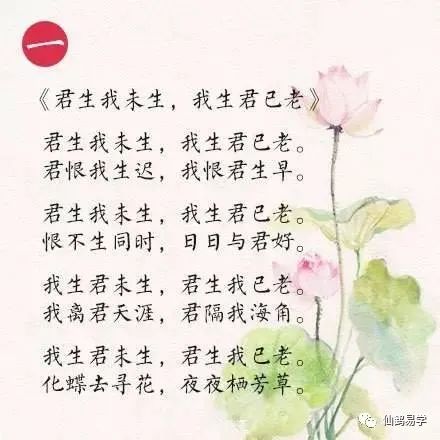 花开花落不见叶，叶生叶