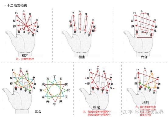 逢冲墓既开，又何尝能入墓吗?