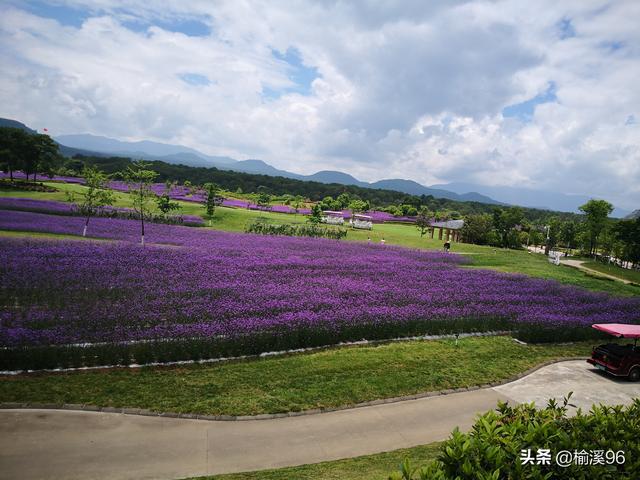 六爻测财运：子孙持世的特点与求财断卦要点解析