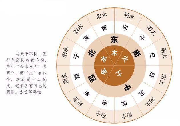 干支五行作用关系：生克、合冲害刑，解析命运预测的关键