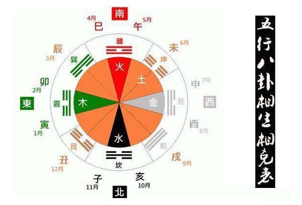 干支五行作用关系：生克、合冲害刑，解析命运预测的关键